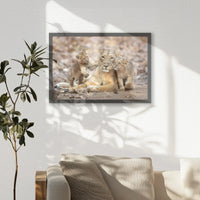 PK-060W040