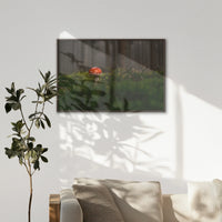 LWN120W080