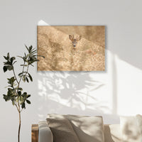 PS-120W080