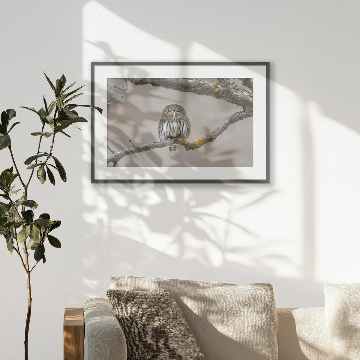PKP093W062