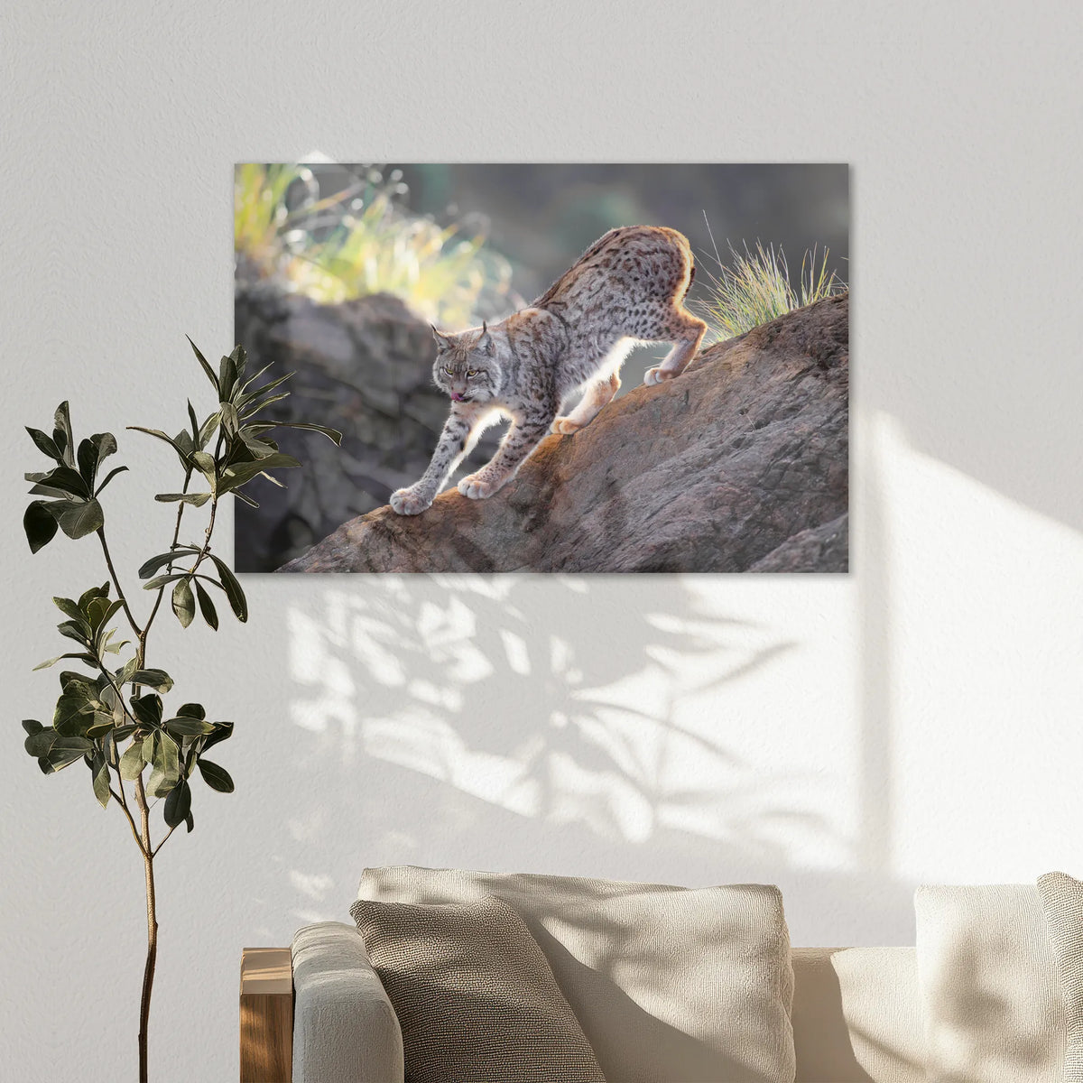 AC-120W080
