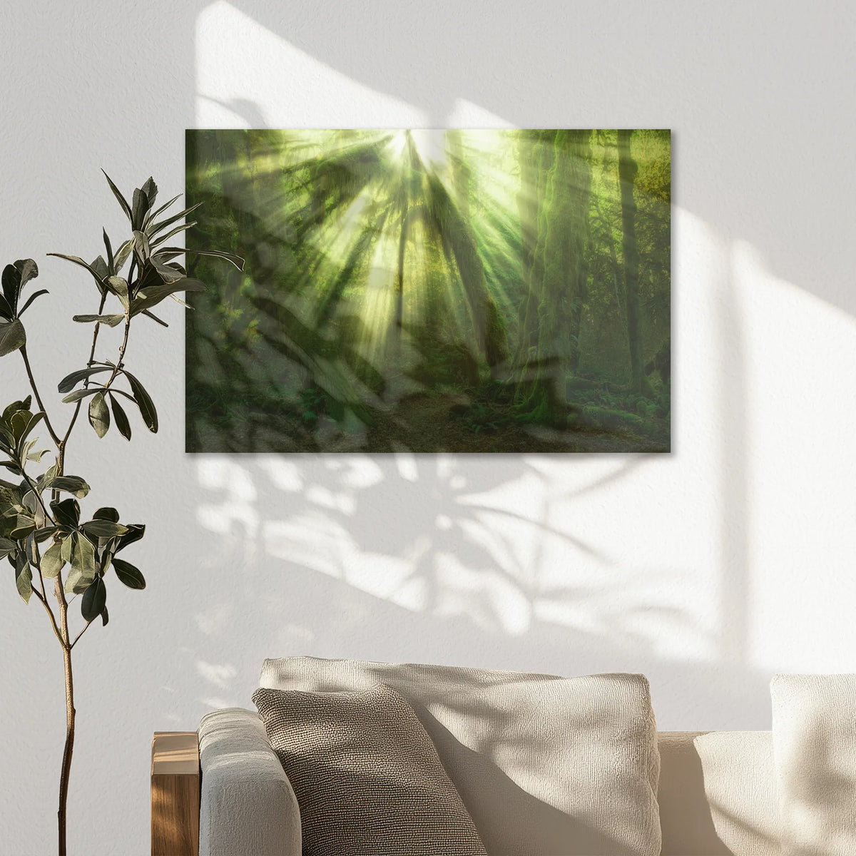 AL-075W050