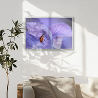 PS-060W040