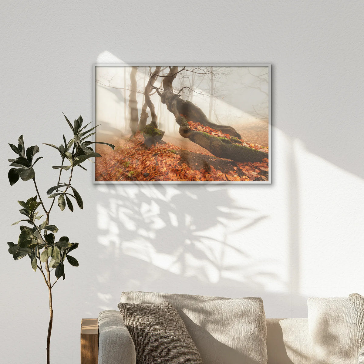 LWW120W080