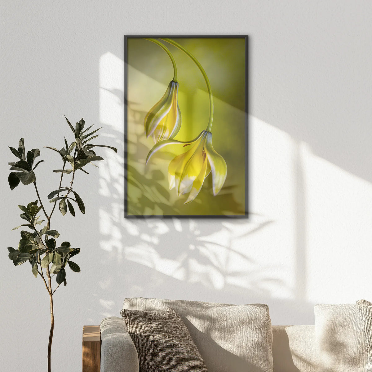 LWB080W120