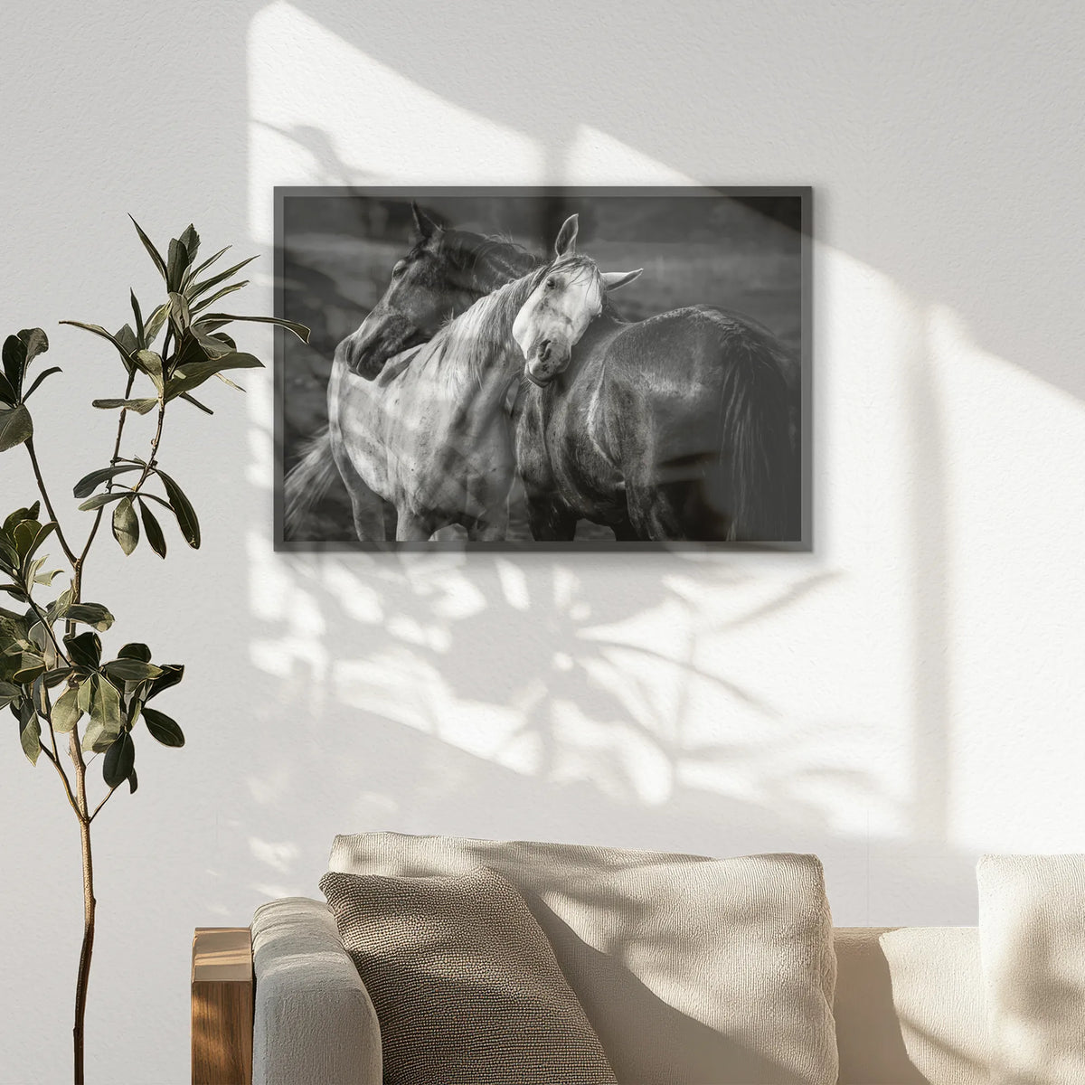 PK-093W062