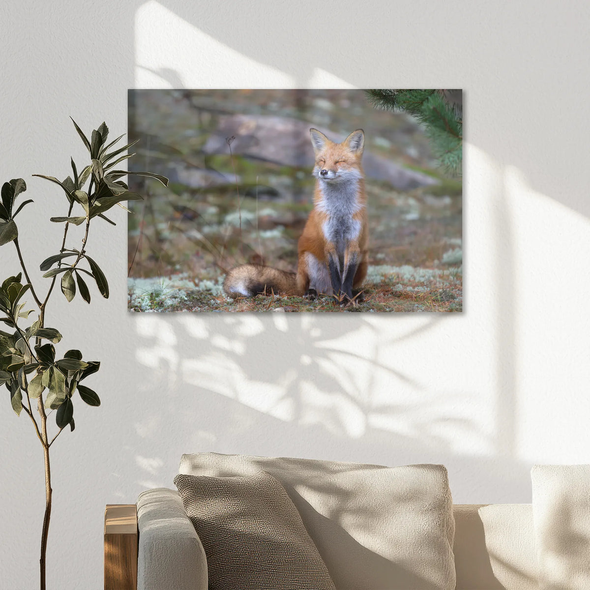 AC-075W050