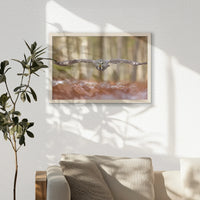PN-060W040