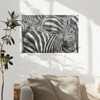 PO-045W030