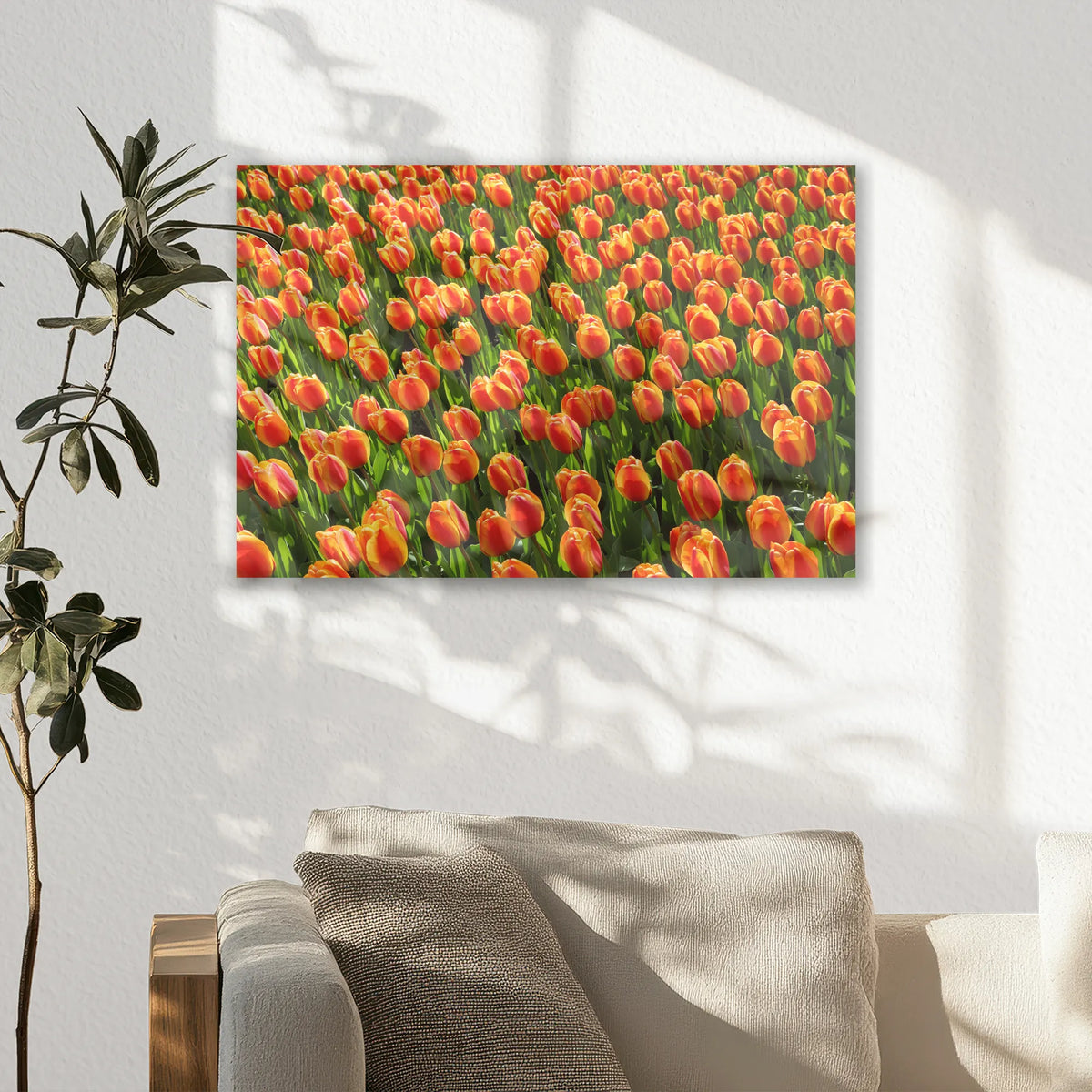 AL-030W020