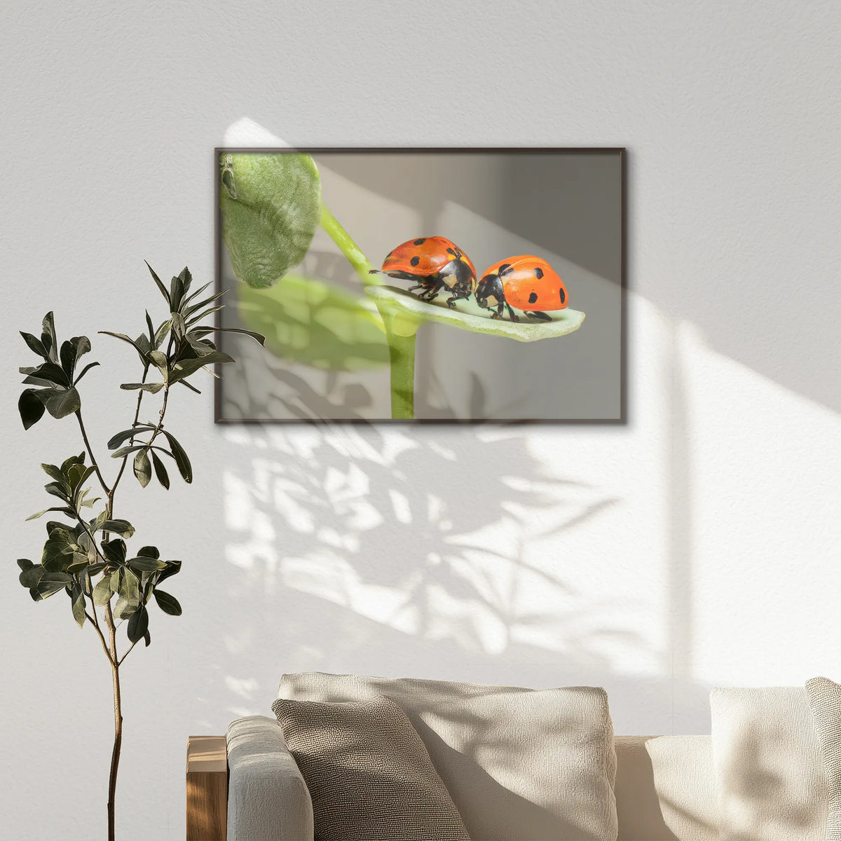 LWN120W080