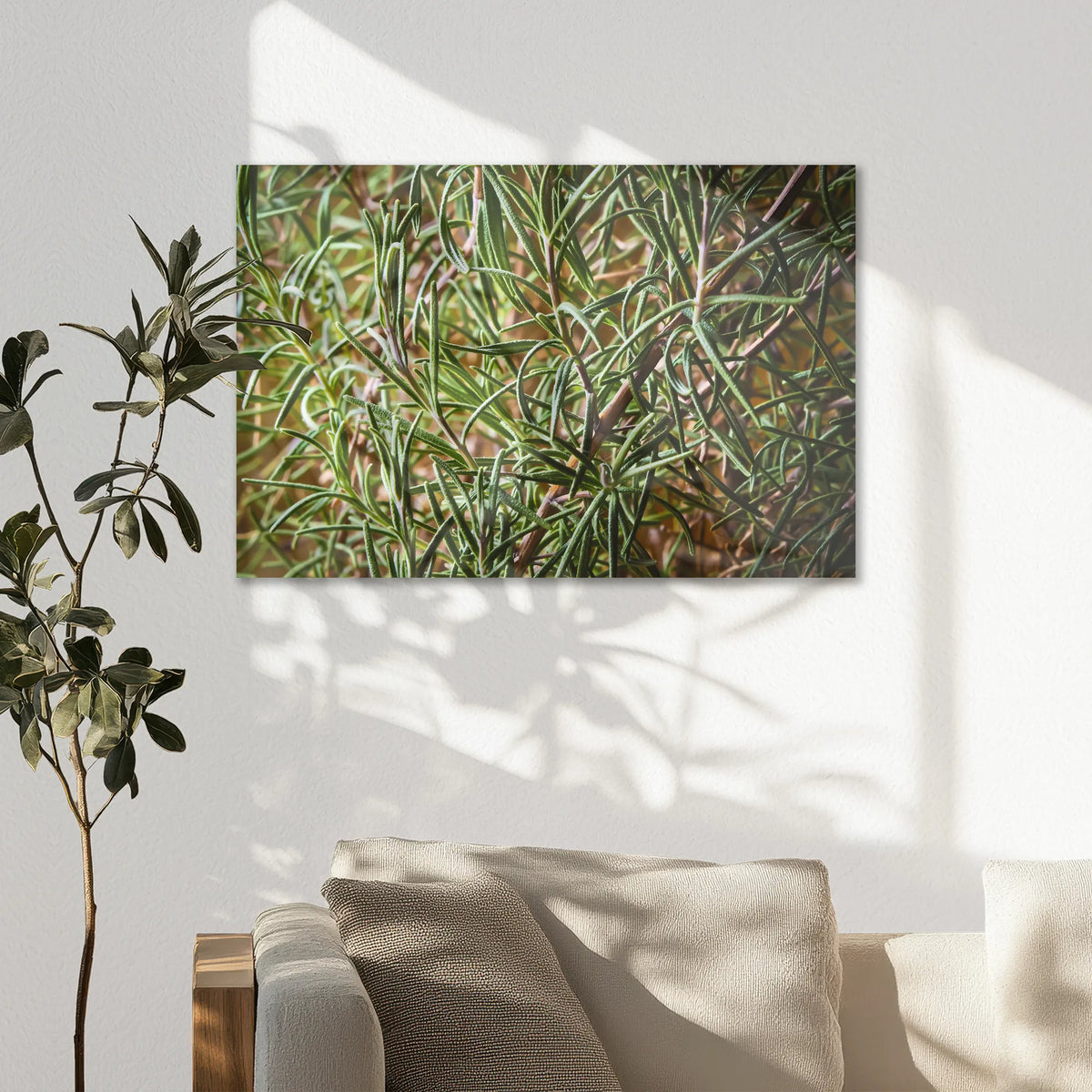 AC-075W050