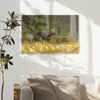 AL-030W020