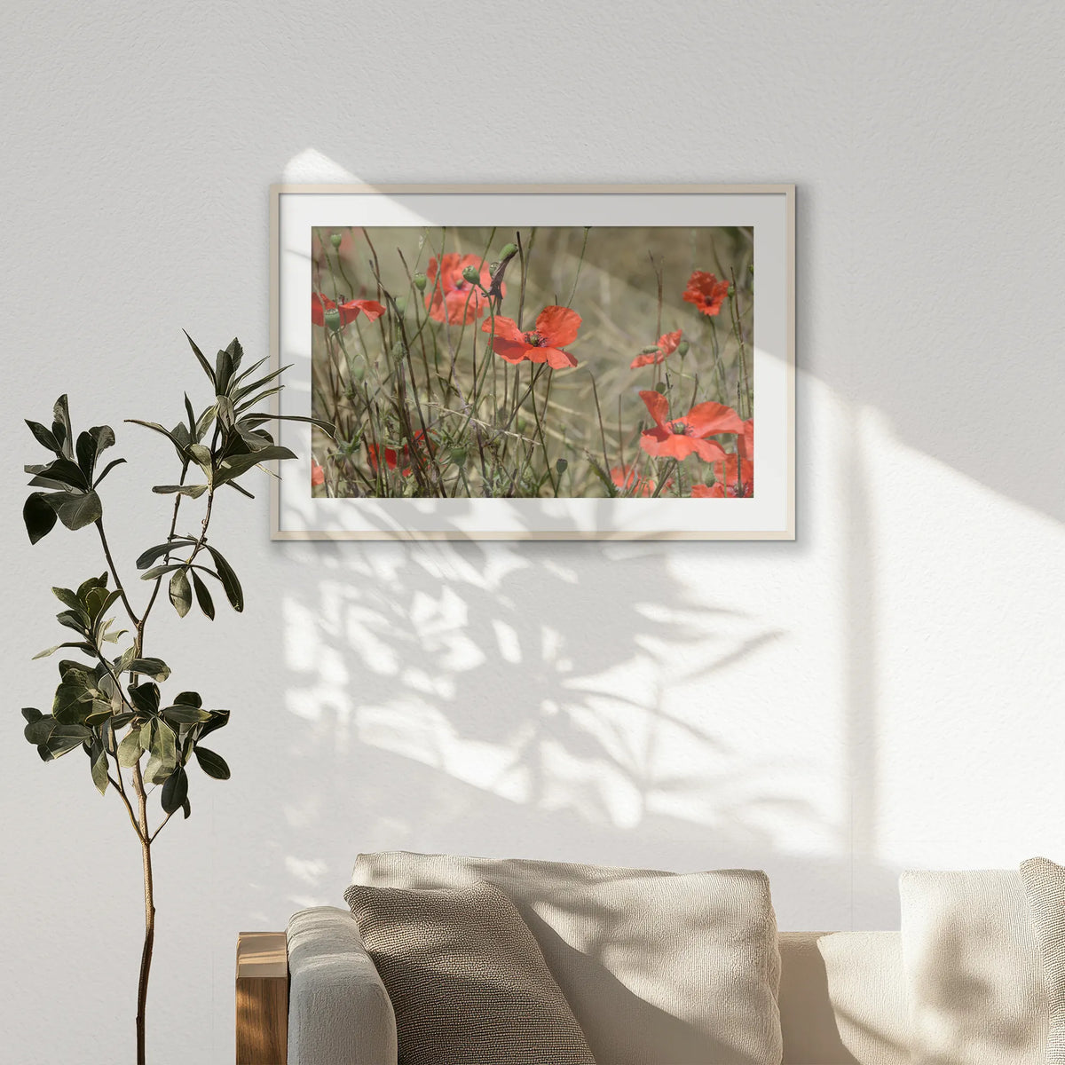 PNP100W070