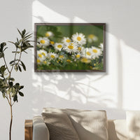 LWN060W040