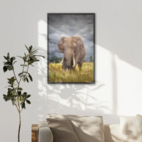LWB070W100