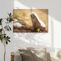 LW-075W050