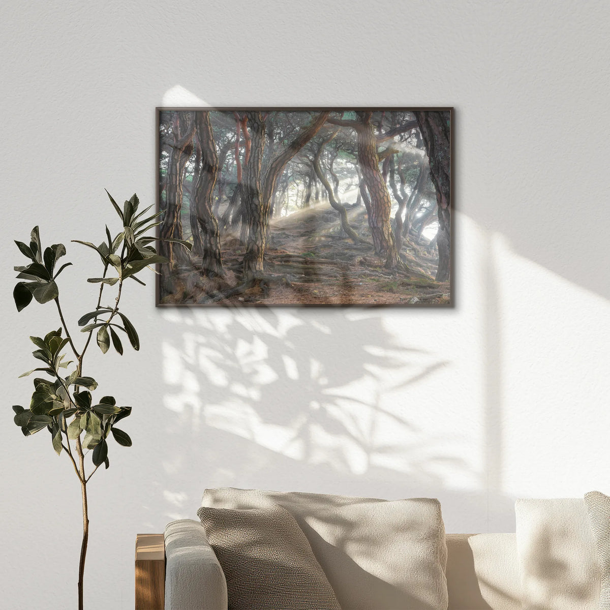 LWN120W080