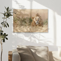 AC-045W030
