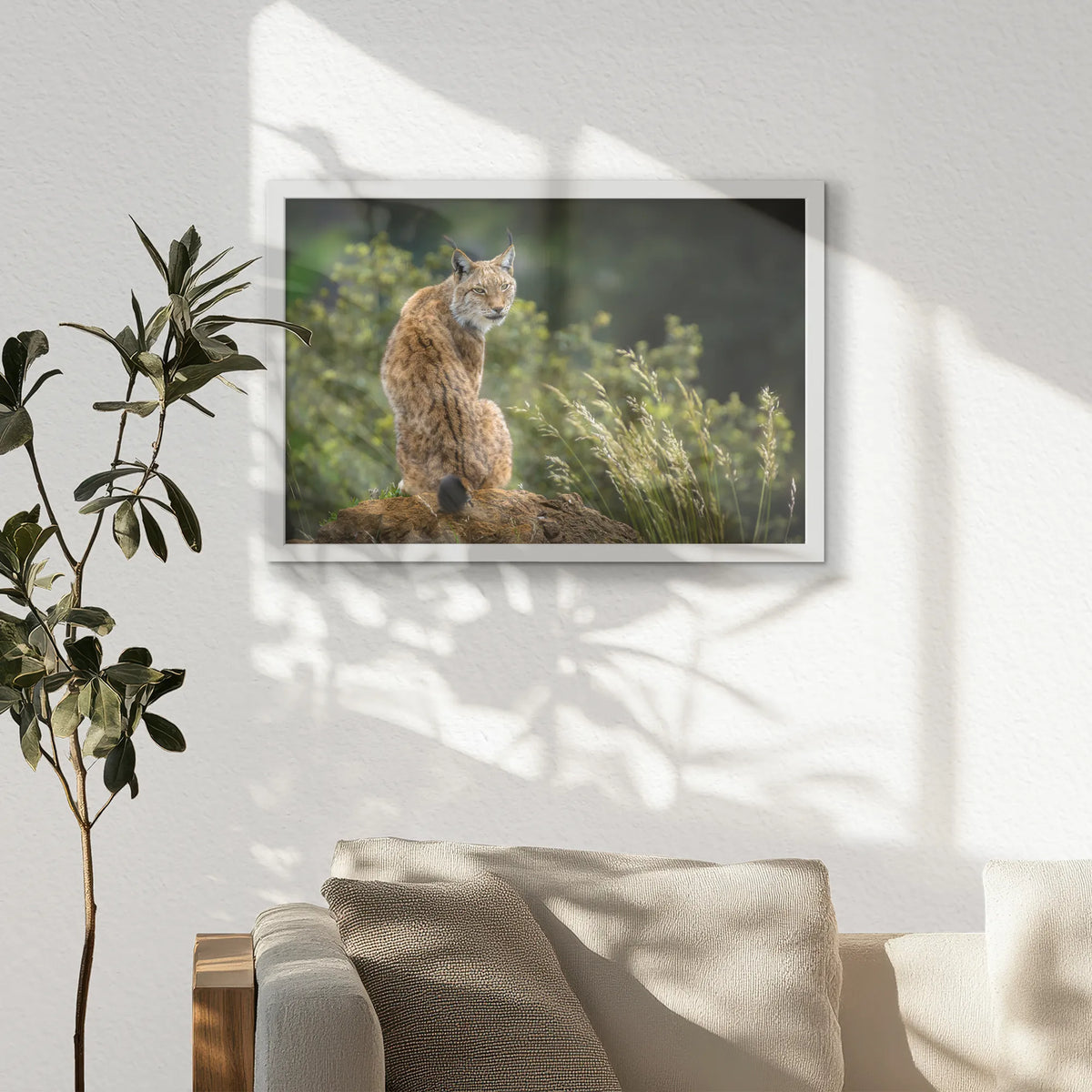LWW060W040
