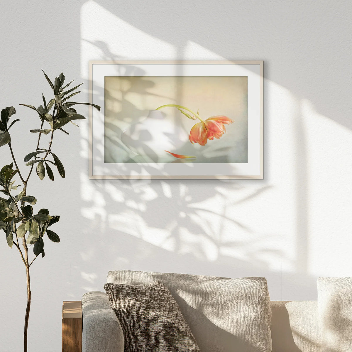 PNP093W062