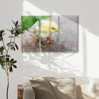 LW-060R040