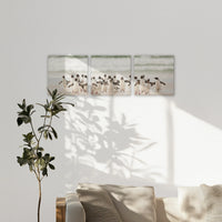 LW-240S080