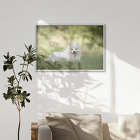 LWW100W070