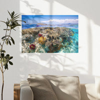 PO-030W020