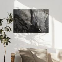 PO-090W060