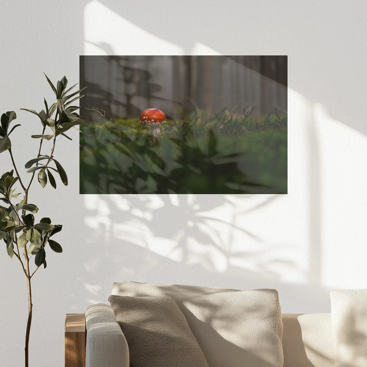 PO-075W050