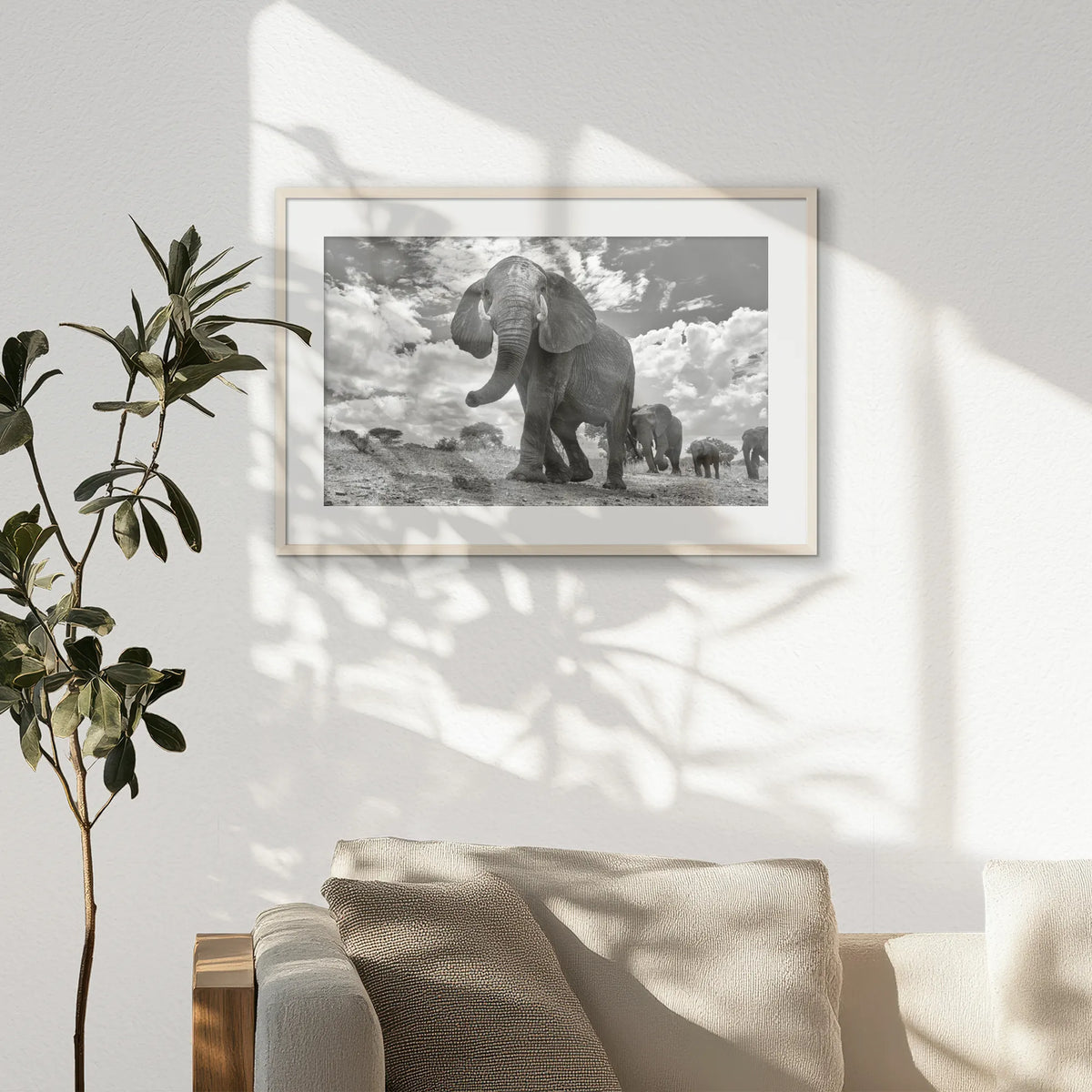 PNP093W062