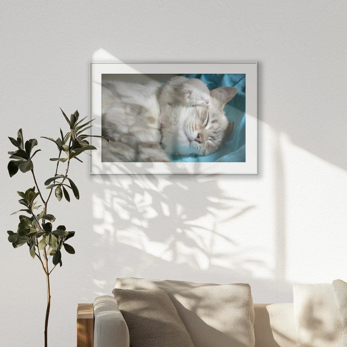 PSP120W080