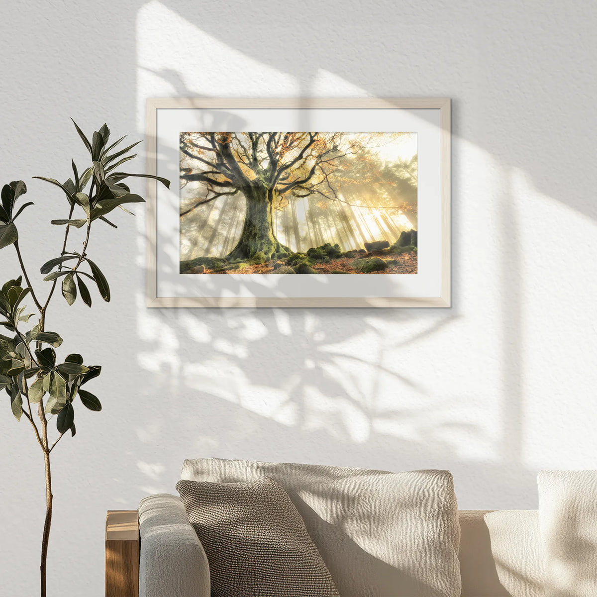 PNP060W040