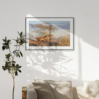 PBP100W070