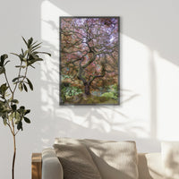 PK-062W093