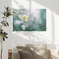 PO-045W030