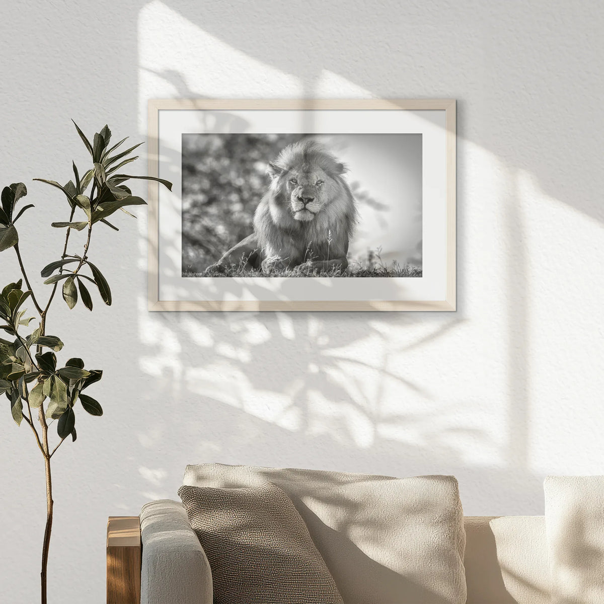 PNP060W040