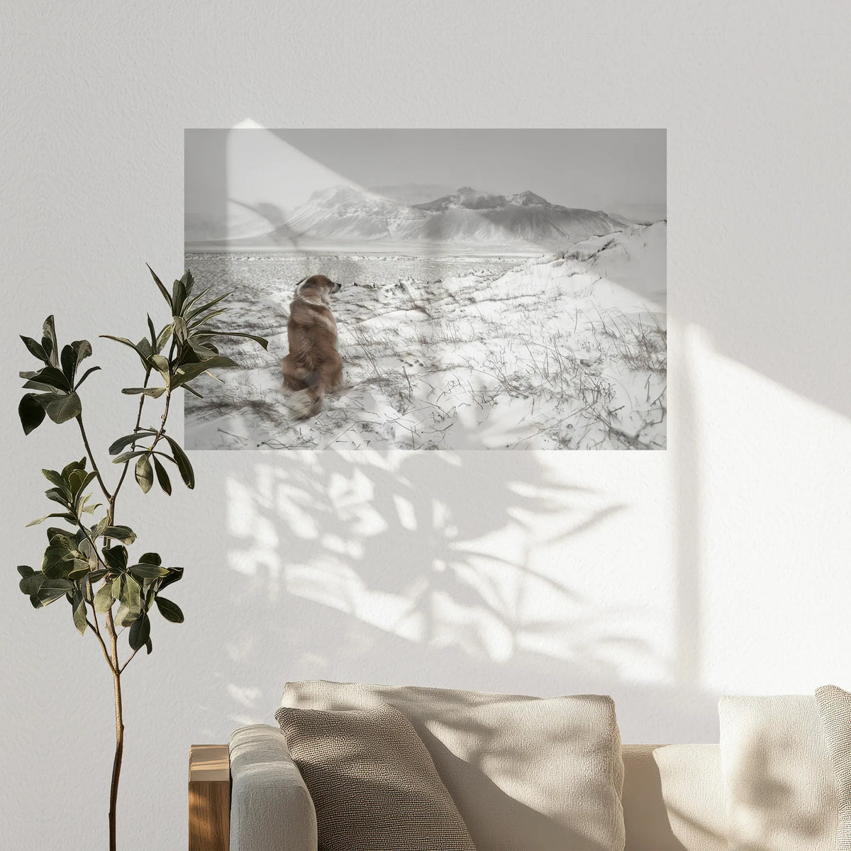 PO-120W080