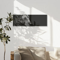 AC-060P020