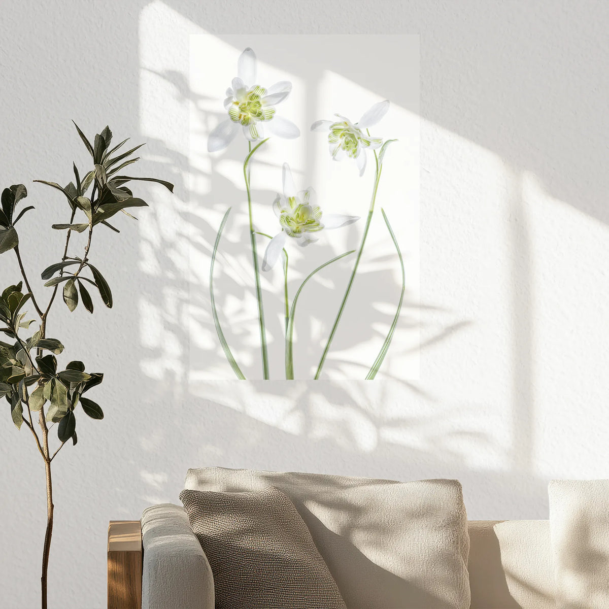 PO-050W075