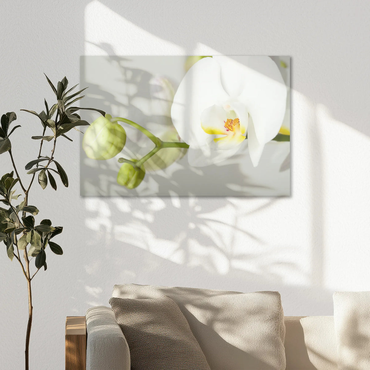 AL-075W050