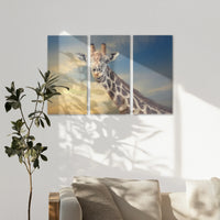 AC-120R080
