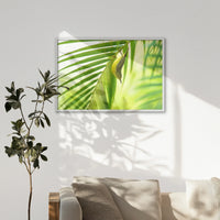 LWW100W070