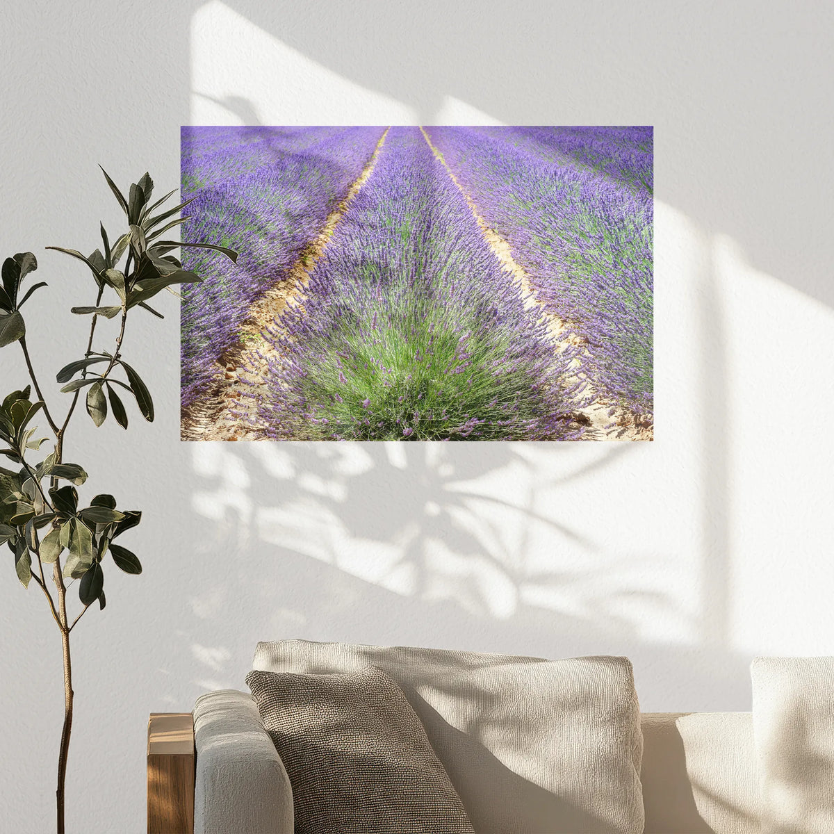 PO-090W060
