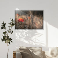 LWW100W070