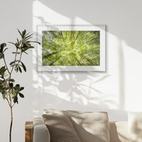 PSP093W062