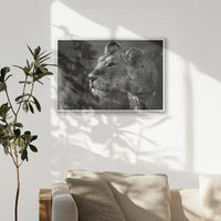 PS-060W040