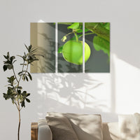 AL-120R080