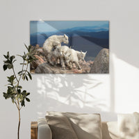 LW-120W080